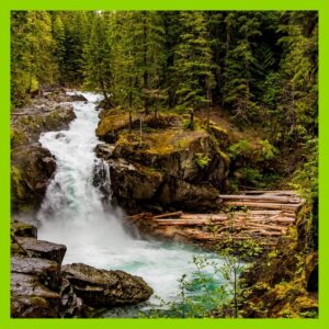 YEP Summer 2026 Week 3 Nature and Survival Week