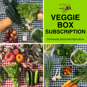 Full share veggie box subscription: Community Supported Agriculture. This product image includes three different selections of the weekly share from the CSA.