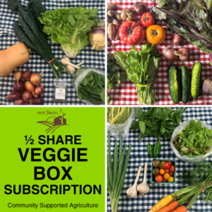 1/2 share veggie box subscription: Community Supported Agriculture. This product image includes three different selections of the weekly share from the CSA.