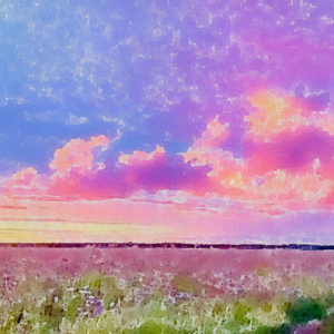 Art with Marc - Summer Mixed Media Painting
