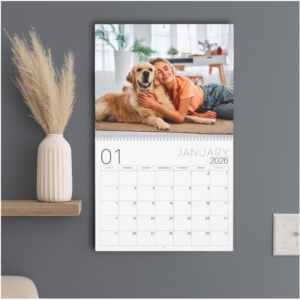 A calendar page beside a shelf featuring a photo of a woman and a dog on it with a decorative plant on a shelf.